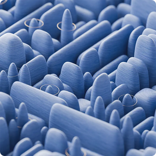 Revive the Prostate’s Protective Microbiome